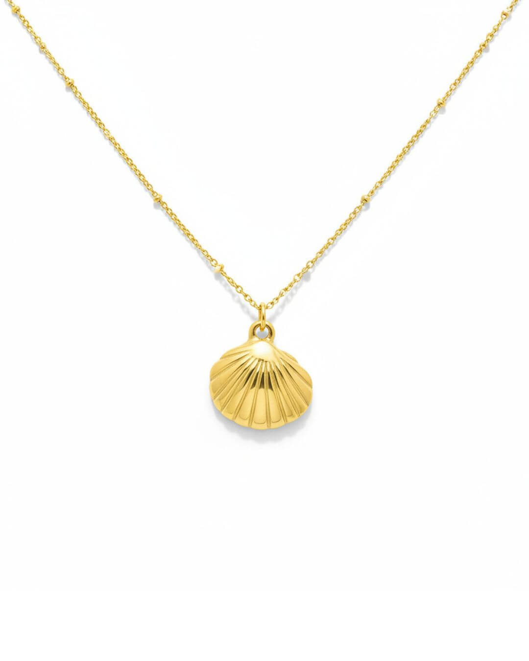 Golden Seashell Charm Necklace
