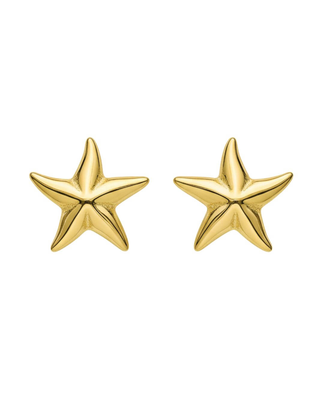 Star Earring
