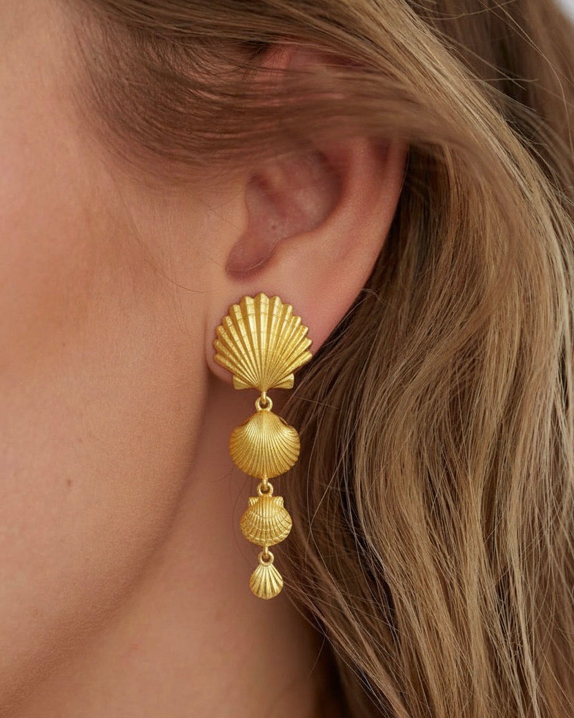 Shell Drop Earring